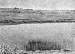 Река Вазуза на участке форсирования 251 сд.