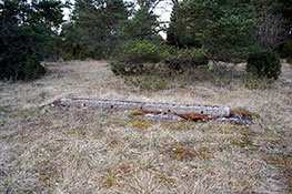 Он же в 2008 г.