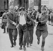 Черный рынок в Тиргартене.