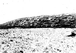 Возвышенность возле Кюстринского шоссе, на которой было решено водвигнуть памятник.