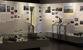 Современная музейная экспозиция.