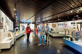 Современная музейная экспозиция.