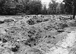 Общие могилы.