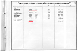 Страница альбома 1994 г.