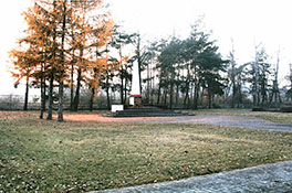 Место первичного захоронения А. М. Темника.