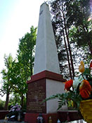 Герой Советского Союза А. М. Темник.