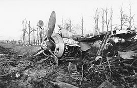 Тиргартен после окончания войны.