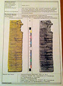 Содержимое медальона.