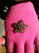 Красноармейская звездочка.