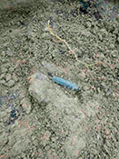 Долгожданный медальон.