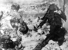 Ковровый холокост.