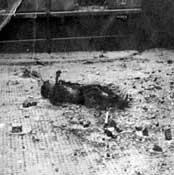 Ковровый холокост.