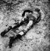 Ковровый холокост.