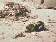 Ковровый холокост.