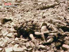 Ковровый холокост.