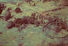 Сгоревший посыльный.