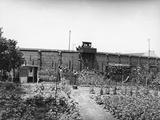 Старые деревянные вышки.