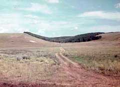 Белгородская обл. 1943. Ф. Грассер.