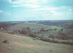 Белгородская обл. 1943. Ф. Грассер.