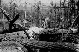 Часть траншеи противника в полосе 69 А.