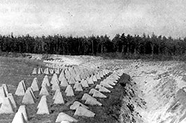 Противотанковые препятствия на Зееловских высотах.