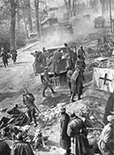 Доставка раненых в эвакопункт на собаках. Район Зееловских высот, апрель 1945 г.