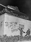 Неонацисты.