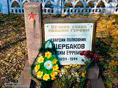 Могила гв. полковника Щербакова Н. Е. в Новом Буге.