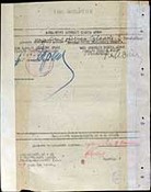 Представление к Пушкарева С. Ф. к награждению второй медалью «Золотая Звезда» (об.).