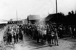 Полковник С. П. Гречкин.